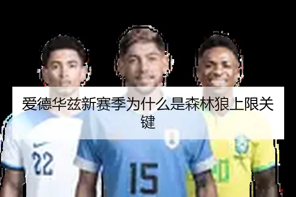 爱德华兹新赛季为什么是森林狼上限关键