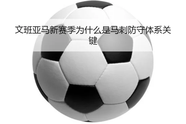 文班亚马新赛季为什么是马刺防守体系关键